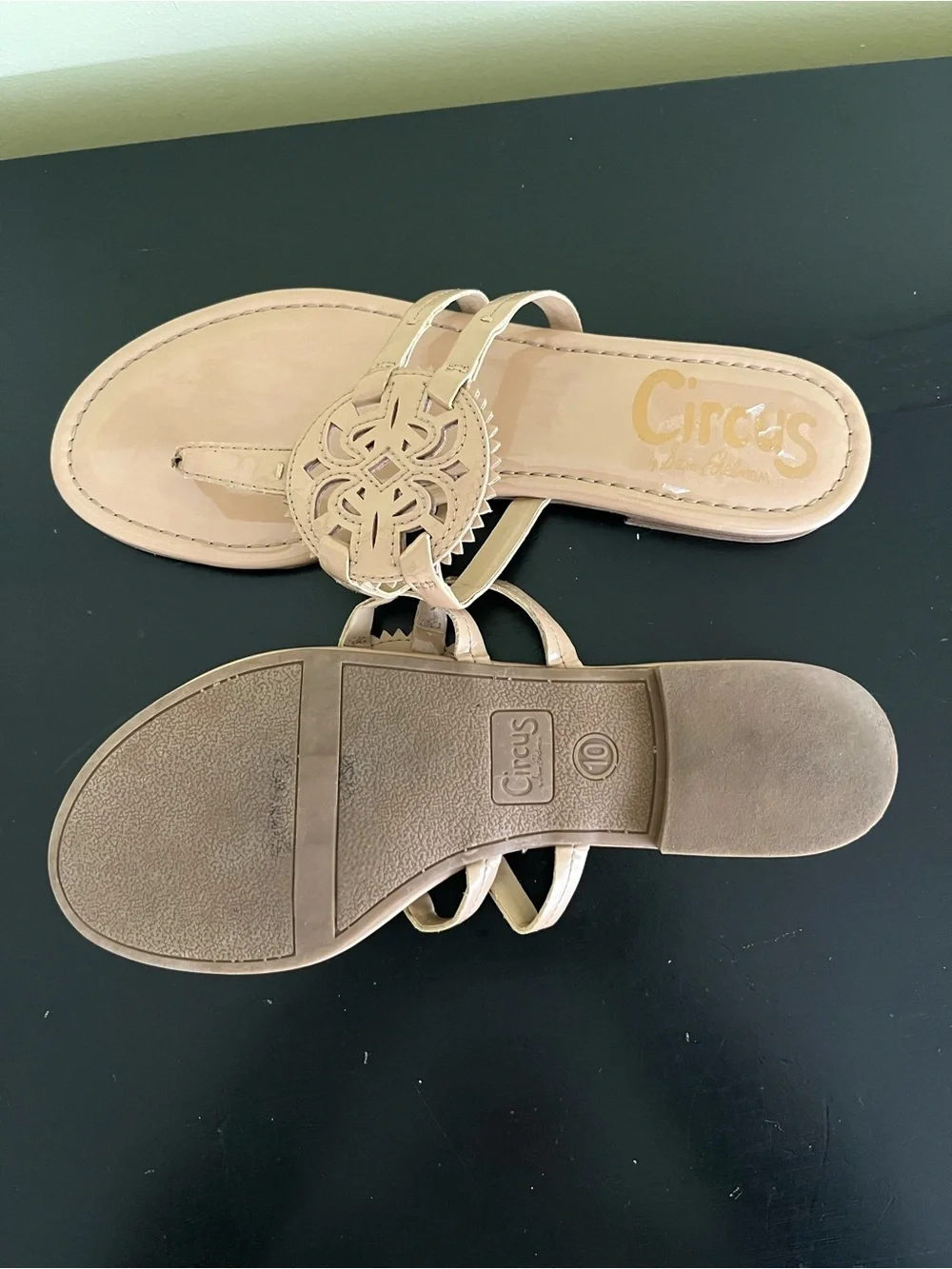 Circus by Sam Edelman Canyon Medallion Flat Sandals